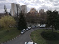Photo n°6