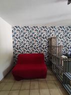 Photo n°5