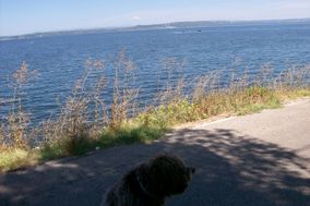 Photo n°2