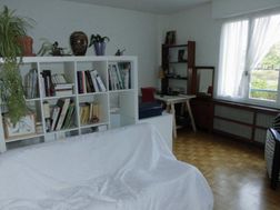 Photo n°9