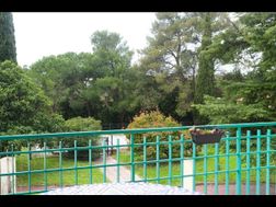 Photo n°2