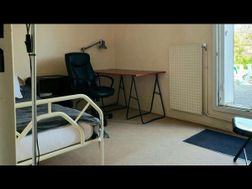 Photo n°3