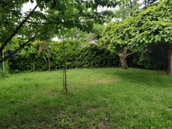 Photo n°3