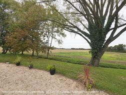 Photo n°2