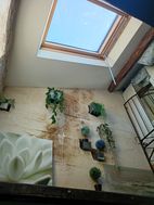 Photo n°1