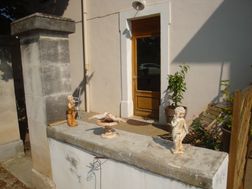 Photo n°8