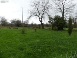 Photo n°4