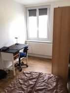 Photo n°3