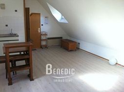Photo n°1
