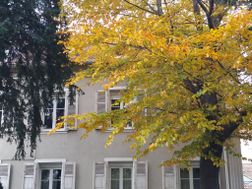 Photo n°1