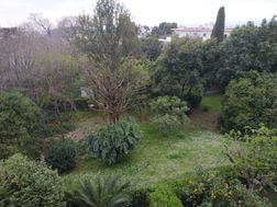 Photo n°4