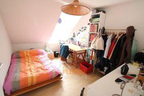 Photo n°5