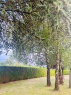 Photo n°3