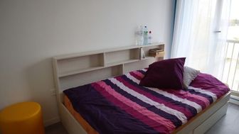 Photo n°6