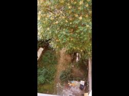 Photo n°14
