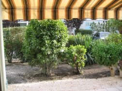 Photo n°4