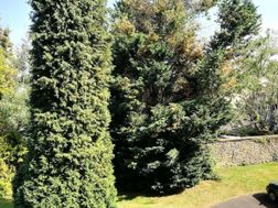 Photo n°2