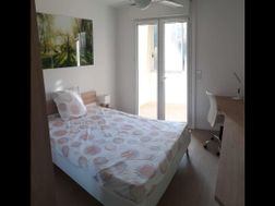 Photo n°6