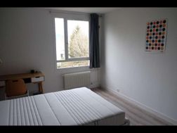 Photo n°6