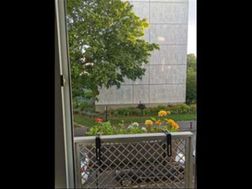 Photo n°4