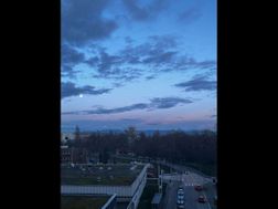 Photo n°5