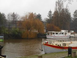 Photo n°5