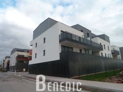 Photo n°2