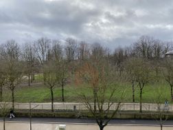 Photo n°5