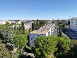 Photo n°13
