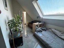 Photo n°2