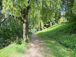 Photo n°9