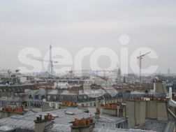 Photo n°7