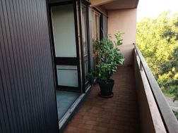 Photo n°3