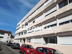 Photo n°4