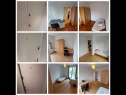 Photo n°2