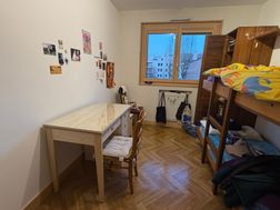 Photo n°5