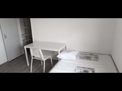 Photo n°3