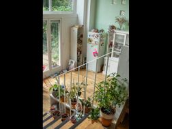 Photo n°3