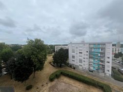 Photo n°6