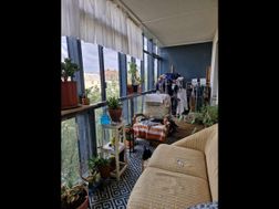 Photo n°1