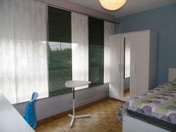 Photo n°6