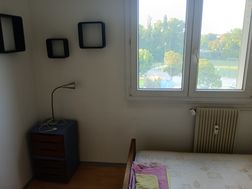 Photo n°8