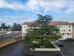 Photo n°6