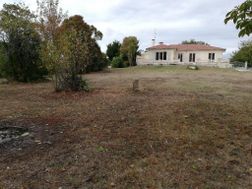 Photo n°1