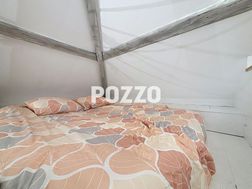 Photo n°5