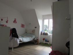 Photo n°8
