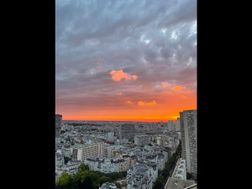 Photo n°5