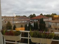 Photo n°1