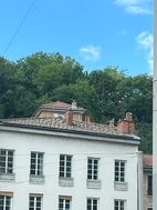 Photo n°6