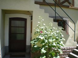 Photo n°3